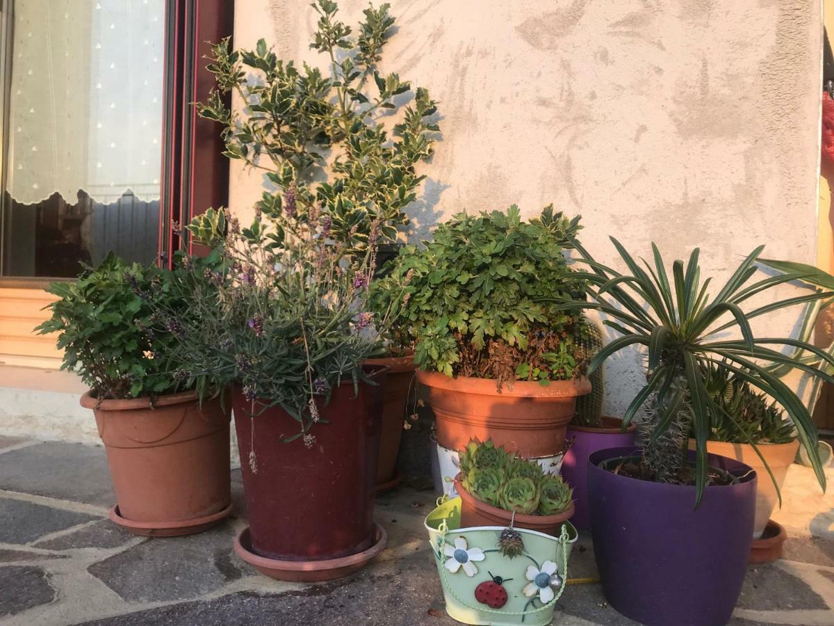 Puffele B&B 埃内戈 外观 照片